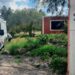 Asesinan a migrante hondureño a puñaladas en Anillo Periférico
