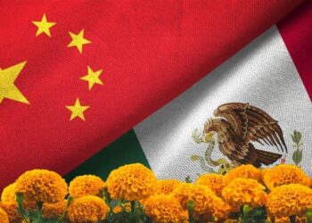 ¿Cómo diferenciar entre el cempasúchil mexicano del chino?