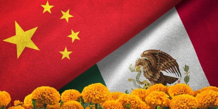 ¿Cómo diferenciar entre el cempasúchil mexicano del chino?