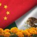 ¿Cómo diferenciar entre el cempasúchil mexicano del chino?