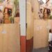 Guanajuato se queda sin el Callejón de Beso: ¿Por qué lo clausuraron?