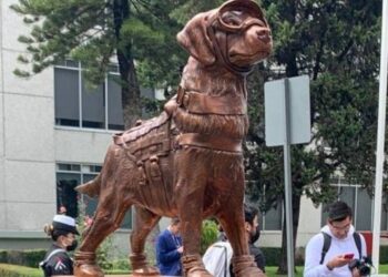 Les quedó “perrona” la estatua de Frida, la perrita rescatista del 19-S