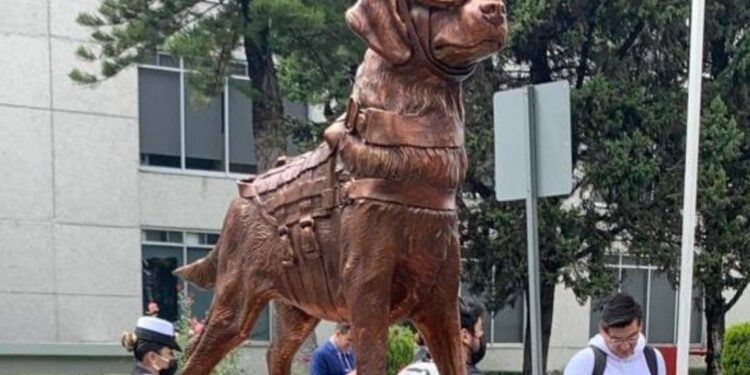 Les quedó “perrona” la estatua de Frida, la perrita rescatista del 19-S