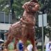 Les quedó “perrona” la estatua de Frida, la perrita rescatista del 19-S