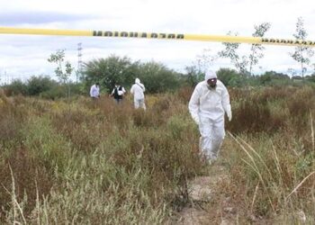 Ya fueron identificados y entregados, 6 cuerpos de 24 hallados en fosa clandestina de Rioverde