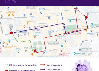 Mujeres potosinas marcharán este viernes para conmemorar el 25N y visibilizar la violencia vicaria.
