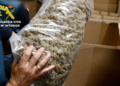 Policía decomisa 32,3 toneladas de marihuana en España, la mayor cantidad en la historia