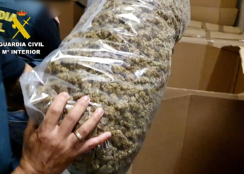 Policía decomisa 32,3 toneladas de marihuana en España, la mayor cantidad en la historia