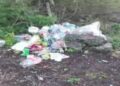 Descubren fosa clandestina en Guadalazár