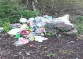 Descubren fosa clandestina en Guadalazár