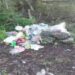 Descubren fosa clandestina en Guadalazár