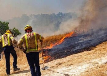 Concluye temporada de incendios forestales en San Luis Potosí