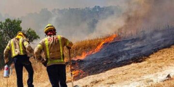 Concluye temporada de incendios forestales en San Luis Potosí
