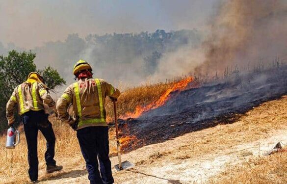 Concluye temporada de incendios forestales en San Luis Potosí