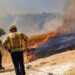 Concluye temporada de incendios forestales en San Luis Potosí
