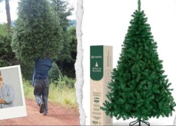 Árbolito de Navidad: ¿es mejor uno natural o uno artificial?