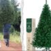 Árbolito de Navidad: ¿es mejor uno natural o uno artificial?