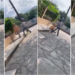 VIDEO| Joven golpeó a adulto mayor y lo presumió en redes sociales como reto