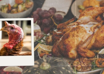 Acción de Gracias 2022: ¿Por qué el pavo es el plato principal del Thanksgiving day?