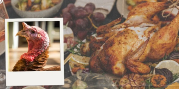 Acción de Gracias 2022: ¿Por qué el pavo es el plato principal del Thanksgiving day?