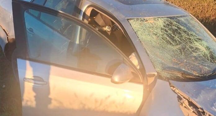 Muere pareja arrollada por un automóvil en  carretera 57