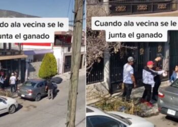 VIDEO| Mujer llega a casa con su novio y en la puerta la esperaban sus otros 3 amores
