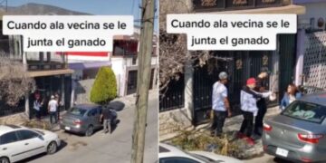 VIDEO| Mujer llega a casa con su novio y en la puerta la esperaban sus otros 3 amores