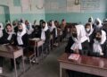 Estudiantes en Afganistán se niegan a tomar exámenes hasta que se permita a mujeres en la universidad