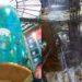 VIDEOS| Estalla en Berlín el acuario cilíndrico más gran del mundo
