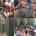 VIDEOS: Caos en concierto de Bad Bunny por fraude en boletos; impiden entrada a fans