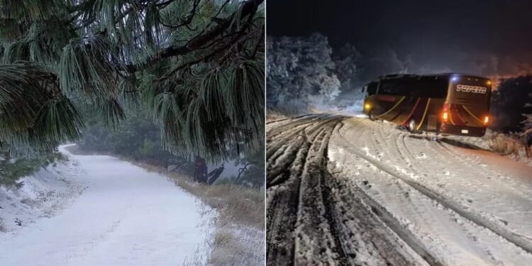 Nevada en Sonora dejó carreteras congeladas, viajeros atrapados y modificó el horario en las escuelas