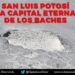 Baches, eterna problemática sin resolver en la capital potosina: Ciudadanos Observando