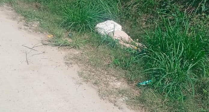 Ejecutan a dos hombres al salir del penal de Tamazunchale
