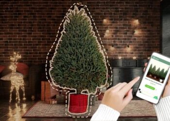 ¿Sabías que puedes rentar un arbolito de navidad para decorar de forma ecológica?