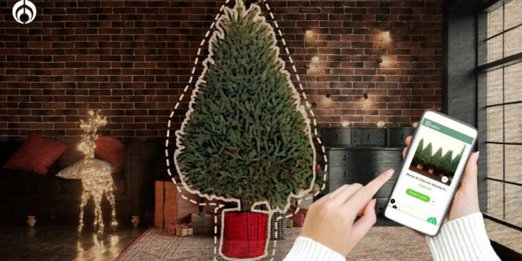 ¿Sabías que puedes rentar un arbolito de navidad para decorar de forma ecológica?
