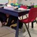 Balacera desata horror en kínder de Guaymas; maestra calma a menores con canción de Taylor Swift