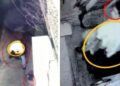 Video| Cámaras de seguridad revelan el momento en que tíos del niño Fredy abandonan su cadáver en callejón