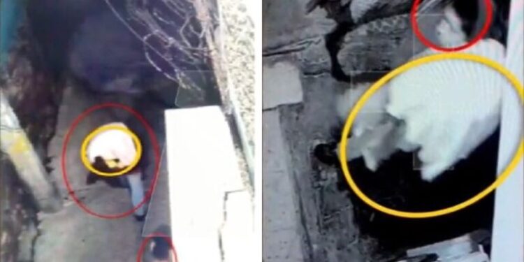 Video| Cámaras de seguridad revelan el momento en que tíos del niño Fredy abandonan su cadáver en callejón