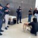 Perrita que fue rescatada de señalética regresó con su familia