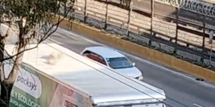 Rescatan a hombre que viajaba en techo de tr´ailer