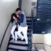 VIDEO: Beisbolista profesional da golpiza a su novia; vídeo causa indignación