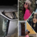 ¡Tragedia! Mueren 5 jovencitas de 17 años en aparatoso accidente