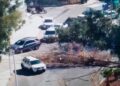 Viento provoca caída de árboles en Carranza y otros puntos de la ciudad