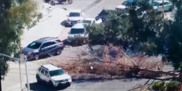 Viento provoca caída de árboles en Carranza y otros puntos de la ciudad