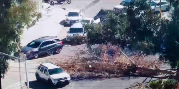 Viento provoca caída de árboles en Carranza y otros puntos de la ciudad