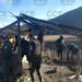 Ubican supuestos narco campamentos en Guadalcázar y Villa de Arista