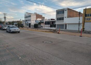 Cambio de Ruta denunció tala irregular de árboles en Himno Nacional