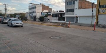 Cambio de Ruta denunció tala irregular de árboles en Himno Nacional