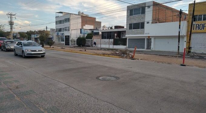Cambio de Ruta denunció tala irregular de árboles en Himno Nacional