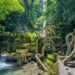 Destinarán un porcentaje de entradas del Jardín “Edward James” para embellecer Xilitla